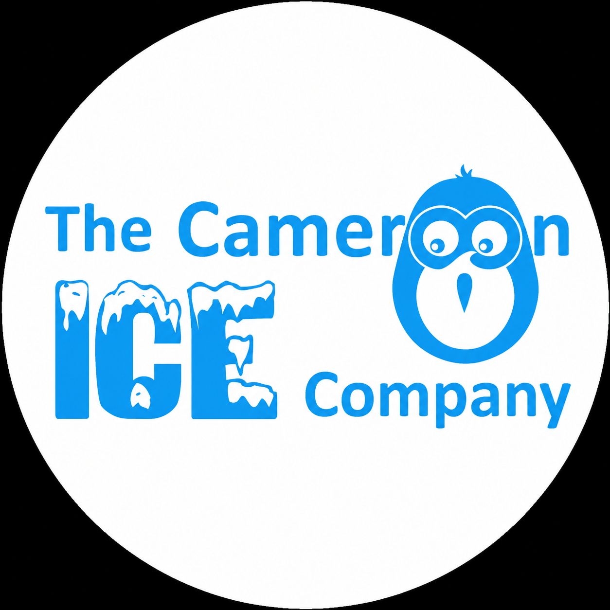 CamiceCo Logo